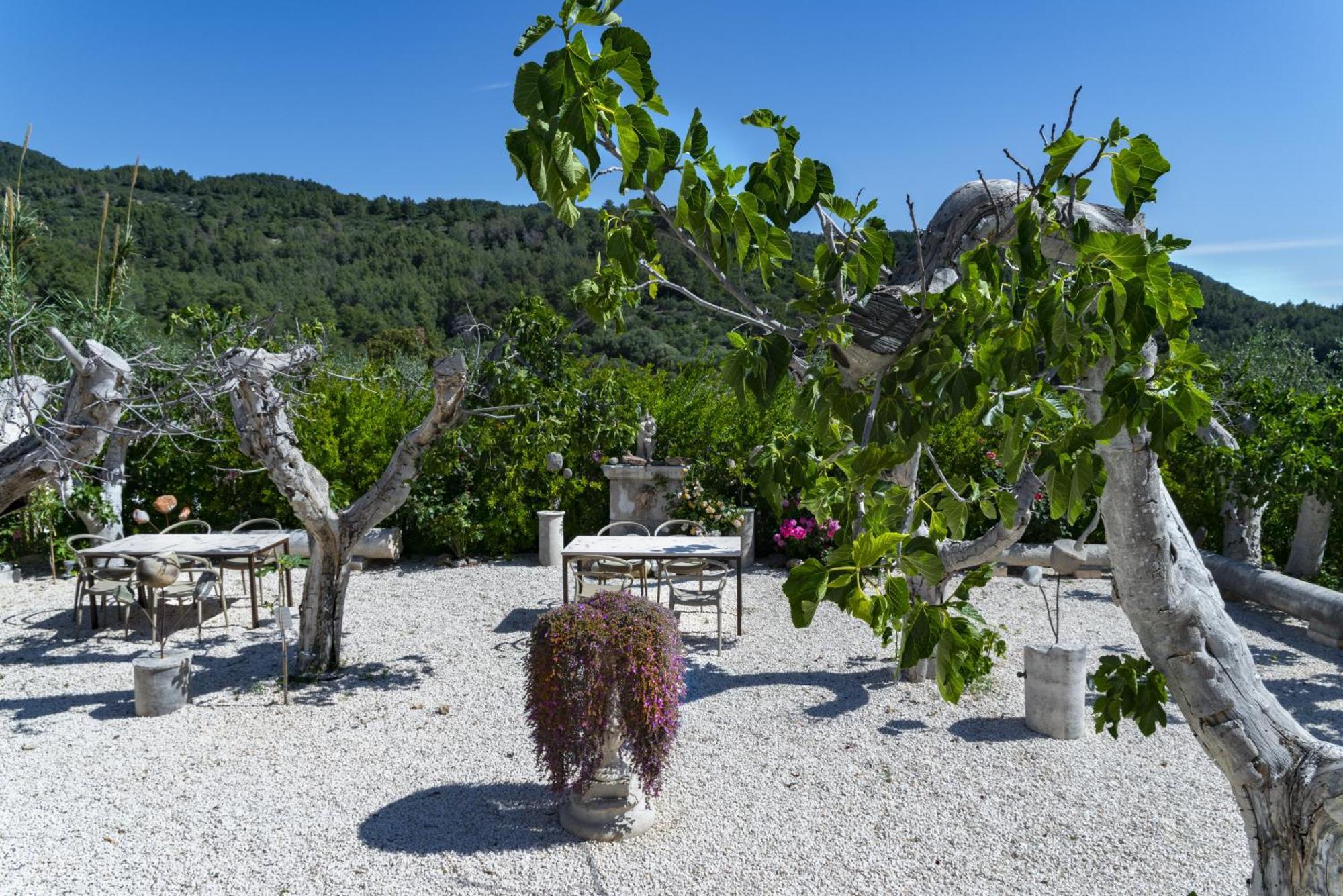 Hmo Glamping & Suites In Vignanotica Маттината Экстерьер фото